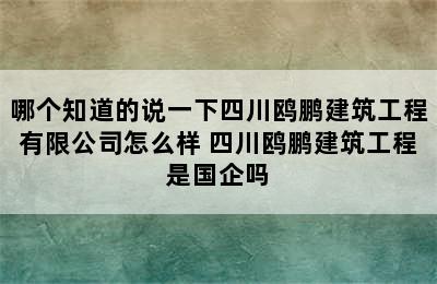 哪个知道的说一下四川鸥鹏建筑工程有限公司怎么样 四川鸥鹏建筑工程是国企吗